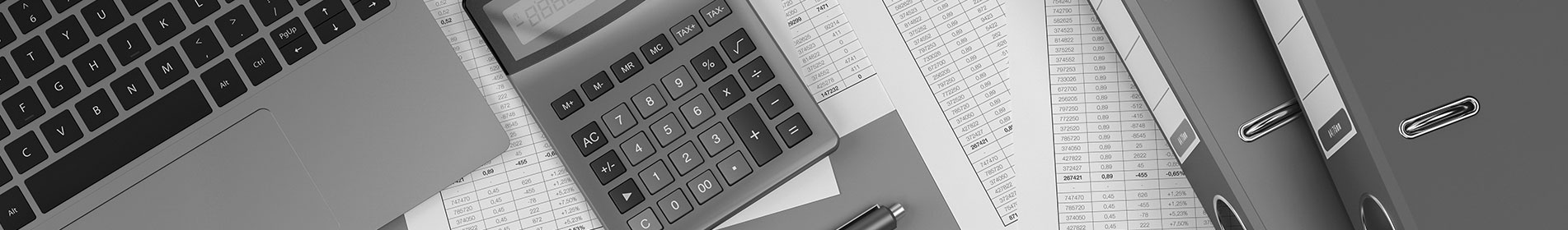 Bab Kopfbild Finanzbuchhaltung