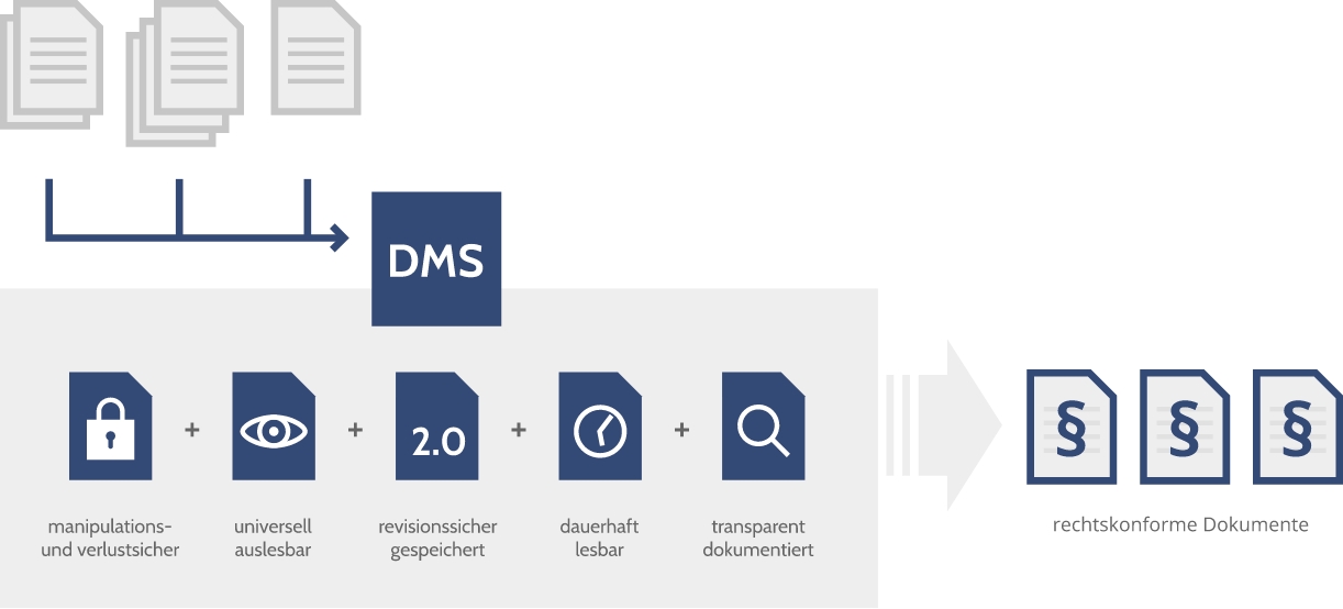 DMS-Struktur